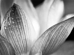 短信验证码轰炸网址免费